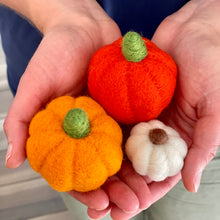 Load image into Gallery viewer, Felt Wool Decorative Pumpkins (18 pumpkins)
