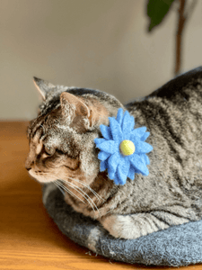 Removable Pet Collar Accessory- Felt Wool Flower-Blue/Yellow