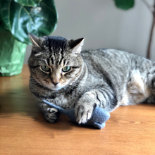 Load image into Gallery viewer, needle-felted-wool-animals