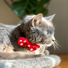 Load image into Gallery viewer, Removable Pet Collar Accessory- Felt Wool Bow Tie