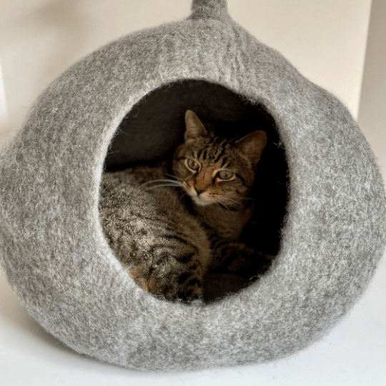CURLY TAIL Wool Cat CaveHigh Quality Felted Wool Cat House, Wool Cat