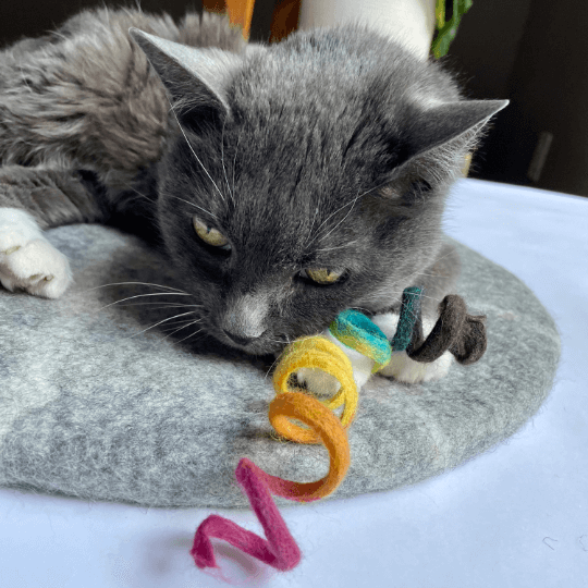 Cat Toys Best Sellers Value Pack BagsyMine