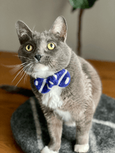 Load image into Gallery viewer, cat=wool-bandana