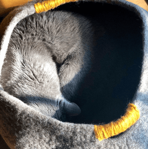 sleeping cat wool cat bed