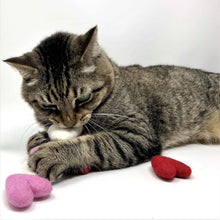 Load image into Gallery viewer, wool cat toys best gift for cats
