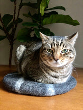 Load image into Gallery viewer, cat-on-wool-cushion